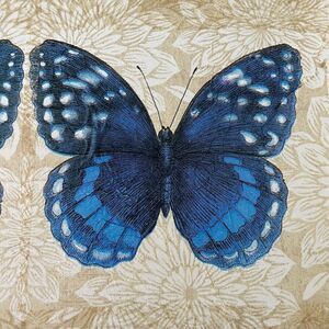 Blue Double Butterfly Large Rectangle Shadow Box
